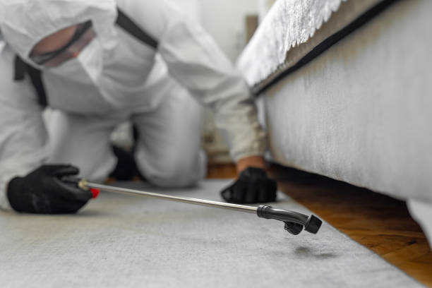 Professional Ant Control technician working in Green Meadows, OH