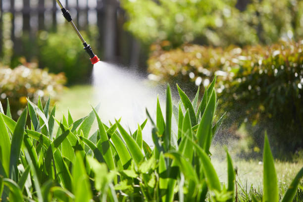 24/7 Emergency Ant Control experts in Green Meadows, OH